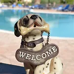 شقة فندقية Mermaid Pool And Bar باليوكاستريتسا