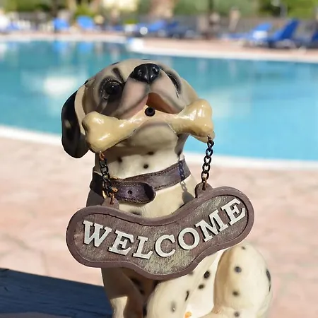 شقة فندقية Mermaid Pool And Bar باليوكاستريتسا